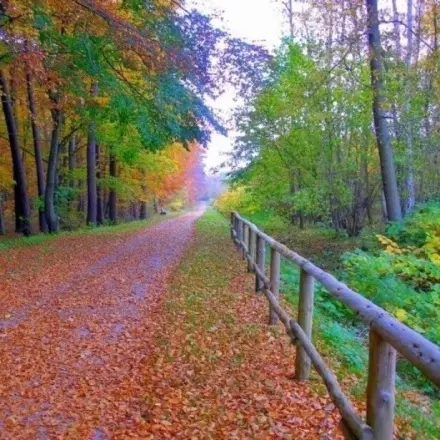 Blasen an den Füßen vermeiden