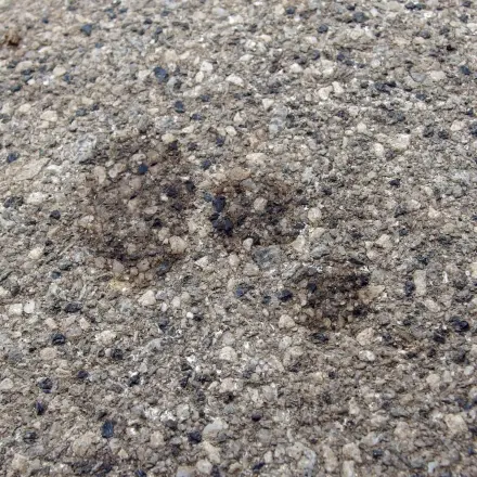 Ölfleck auf dem Garagenboden mit Cola entfernen