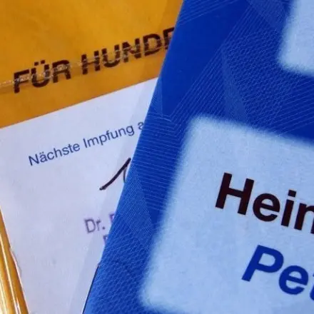 Mit Tieren in den Urlaub