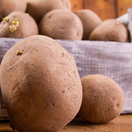 Kartoffeln lagern - so geht's richtig