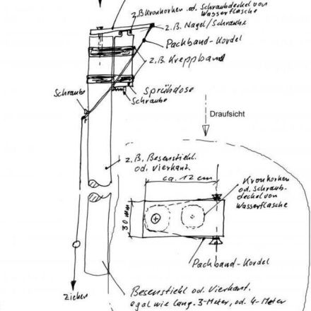 Blattläuse sofort bekämpfen