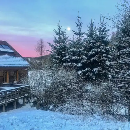 Holzschutzanstrich - Timing