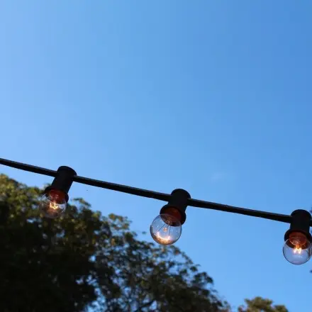 Mücken, Fruchtfliegen, Motten etc. fangen: Über Nacht