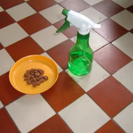 Katzenfutterreste vor dem Austrocknen bewahren