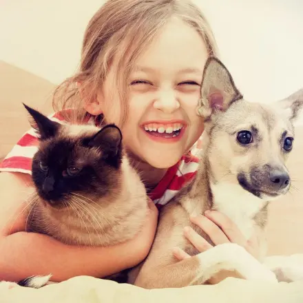 Tierhaare in der Waschmaschine reduzieren