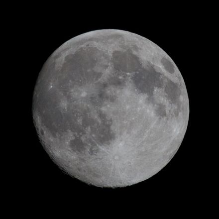 Mondkalender gibt Anleitung für den Alltag