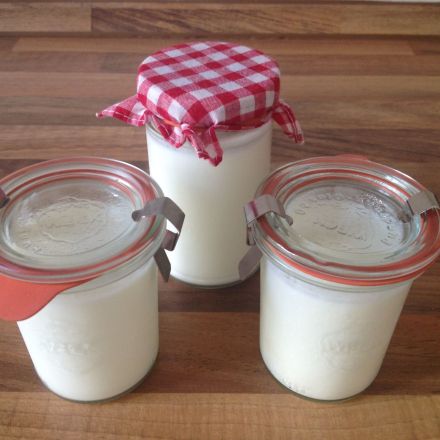 Joghurt selber machen