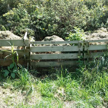 Kompost anlegen: richtig kompostieren