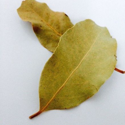 Lorbeerblätter gegen Schlaflosigkeit