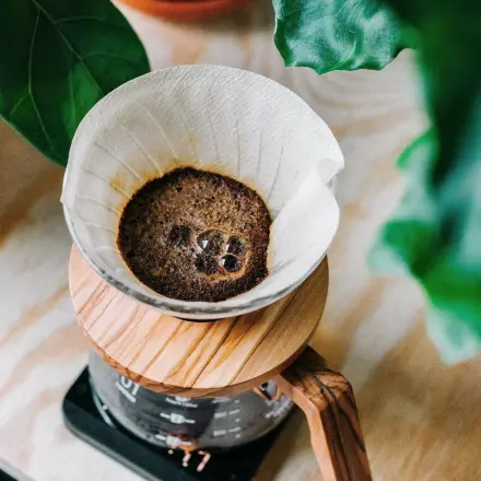 Kaffeesatz vielseitig weiterverwenden