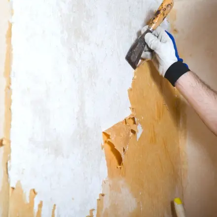 Alte Tapete richtig entfernen