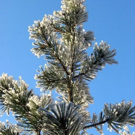 Fotografieren im Winter - ein paar Tipps