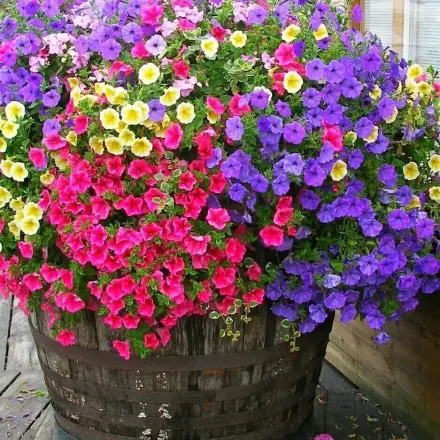 Bunter Blumenkübel