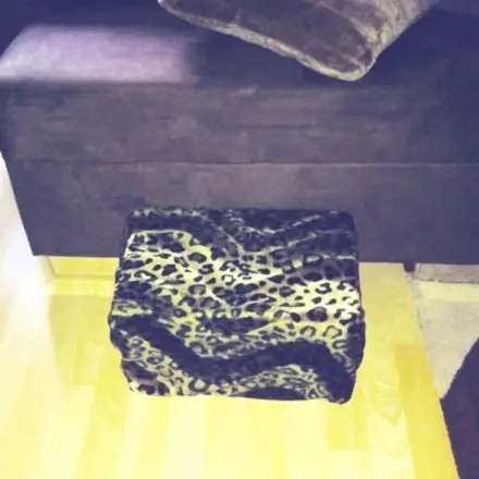 Entlasten der Gelenke bei Hunden und Katzen