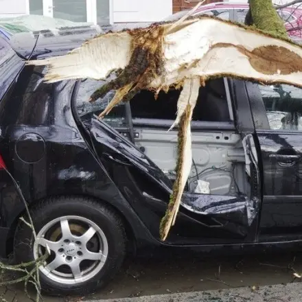 Nach Sturm fällt ein Ast aufs Auto - was ist zu tun?