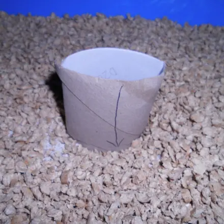 Wie hoch liegt die Streu im Katzenklo? Füllhöhe abmessen