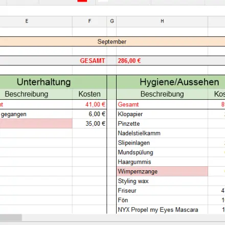Den Überblick von Ausgaben behalten
