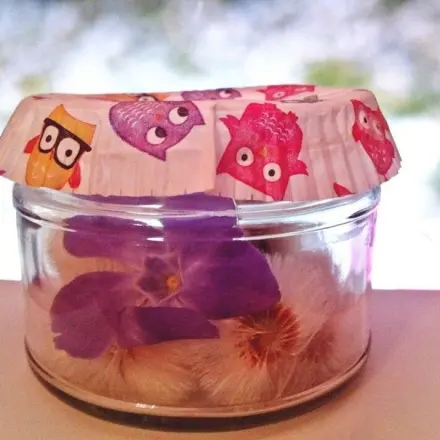 Pusteblumen als Geschenk