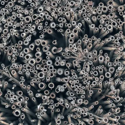 Nisthilfen für Wildbienen bauen – wie geht es richtig?