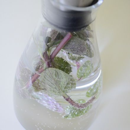 Erfrischendes kalorienfreies Sommergetränk