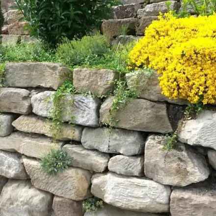 Trockenmauer bauen – Anleitung