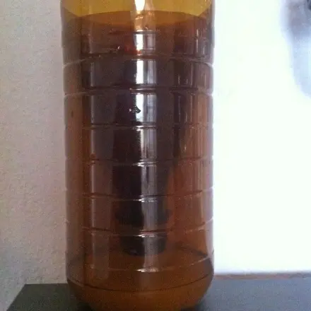 Wirksame Mückenfalle ohne Chemie