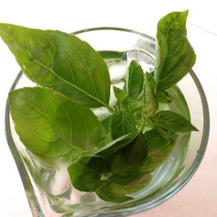 Basilikumwasser - ein Gedicht