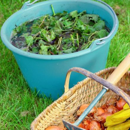 Pflanzenjauche selber herstellen