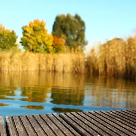 Gefahr Badesee: So vermeide ich Badeunfälle