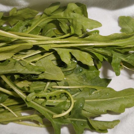 Bunten Salat frisch halten