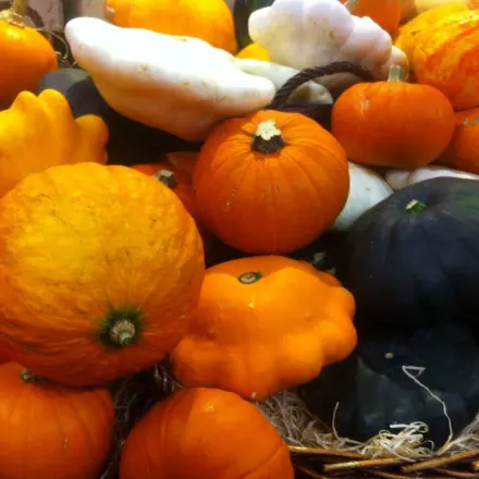 Kürbisspätzle mit Dinkelmehl