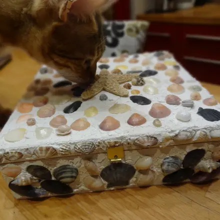 Muschelschatulle - Schatztruhe selbst herstellen