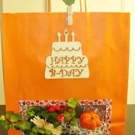 Eine Tüte voller Blumen - eine schöne Geschenkidee