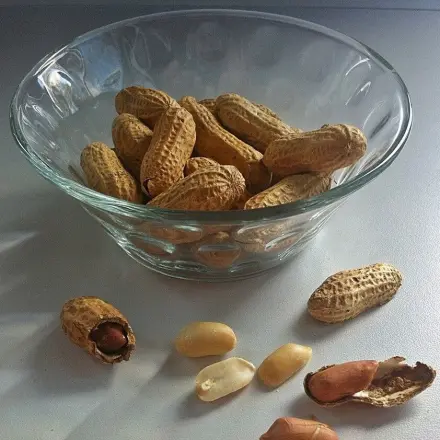 Geröstete Erdnüsse in der Schale