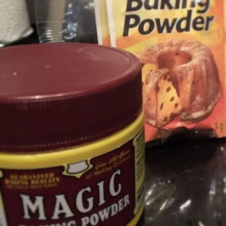 Ameisen vom Haus fernhalten