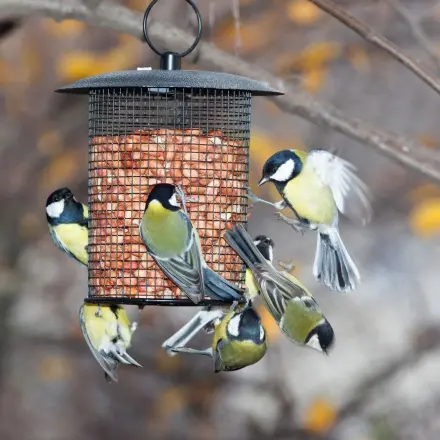 Tieren beim Überwintern helfen