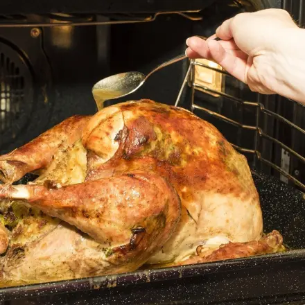 Gans zu trocken? "Tot"gebraten?