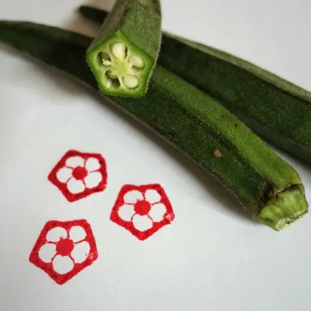 Blumenstempel aus Okraschoten