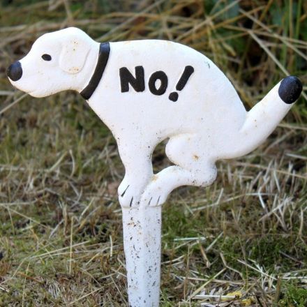 Was tun gegen Hunde- und Katzenkot?