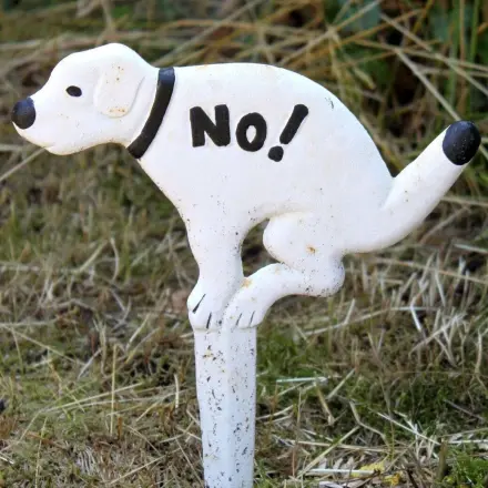 Was tun gegen Hunde- und Katzenkot?