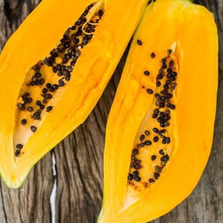 Sicheres Mittel gegen den Juckreiz bei Mückenstichen