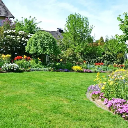 Vier Tipps, die man vor dem Düngen beachten sollte