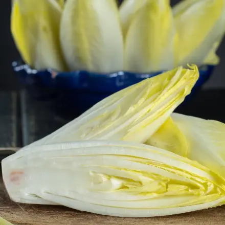 Chicoree - ein tolles Wintergemüse