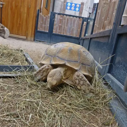 Tipp für den nächsten Besuch im Zoo