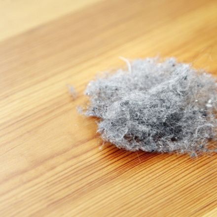 10 Tipps gegen Hausstauballergie