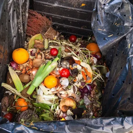 Zitrusfrüchte kompostieren