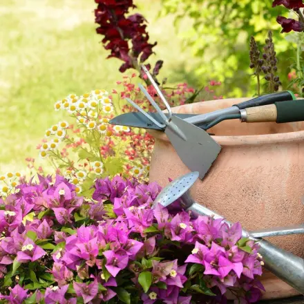 Welche Geräte braucht man im Garten?