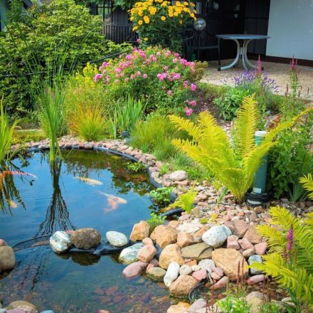 Gartenteich reinigen - bitte Teichlebewesen berücksichtigen