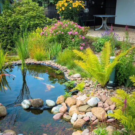 Gartenteich reinigen - bitte Teichlebewesen berücksichtigen