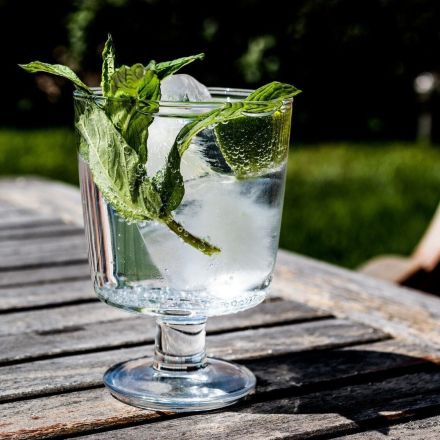 Trendgetränk Gin selber machen